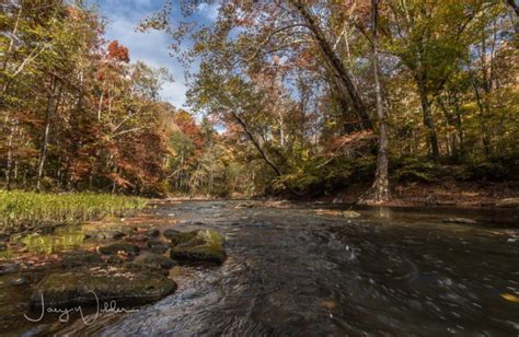 7 Short Hikes In Mississippi With A Spectacular End View Fall Foliage