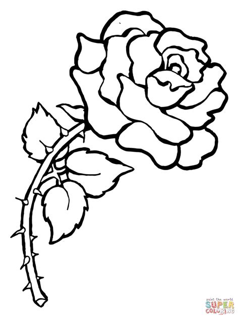 Art rose with thorns drawing rosegirl. Dibujo de Rosa con Espìnas para colorear | Dibujos para ...