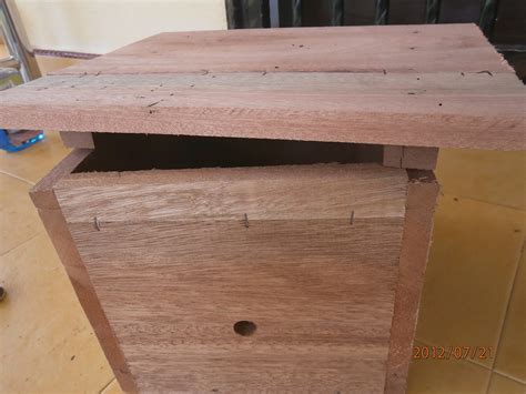 Kelebihan (dengan izinnya) cara kami ialah kelulut mula membina kantung sehari selepas topping dibuat. Trigona Bee: Kotak Koloni Pak Kelulut