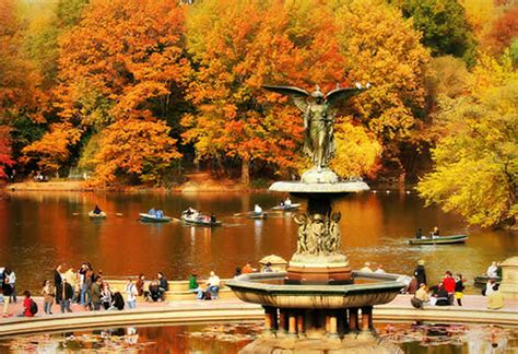 Fall In Central Park New York Style Motivation