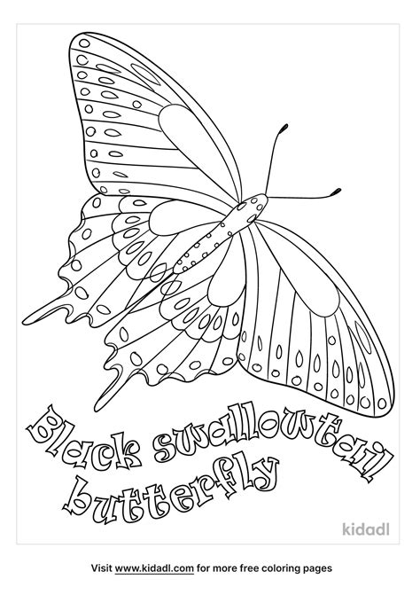 Free Black Swallowtail Butterfly Coloring Page Coloring Page