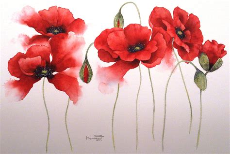 Poppy Watercolor Poppies Watercolor Cards Red Poppies Watercolour
