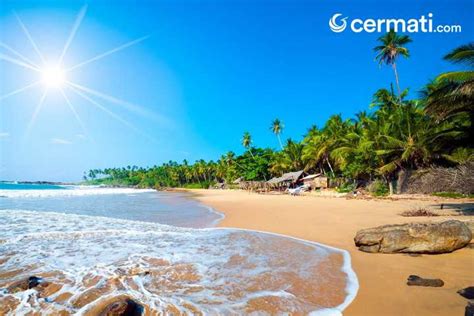 Untuk melengkapi keindahan pantai lagunanya, di sekitar pantai ditumbuhi banyak pepohonan hijau, seperti hutan cemara yang terhampar luas. Pantai Laguna Anyer - Snorkling Di Pulau Sangiang Wisata ...