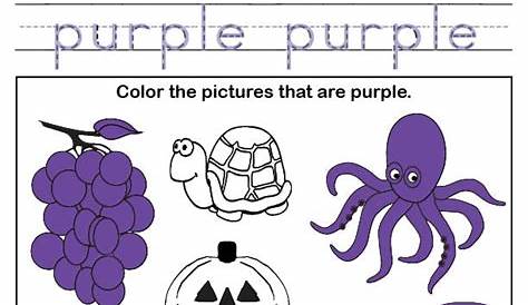 Color Purple Worksheet – SupplyMe