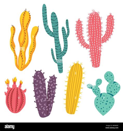 Various Colorful Cactus And Succulent Plants In Different Shapes