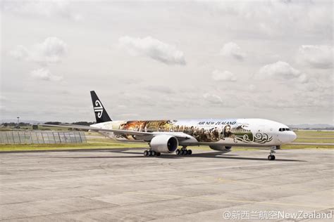 Air Nz Airline Of Middle Earth New Zealand Houses Airplane Travel