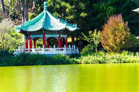 The Green Lake And Chinese Pavilion View In The Golden Gate Park Stock
