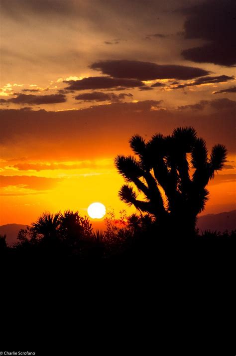 Pin On Clouds Sky Weather Desert Sunset Photography Desert Sunset