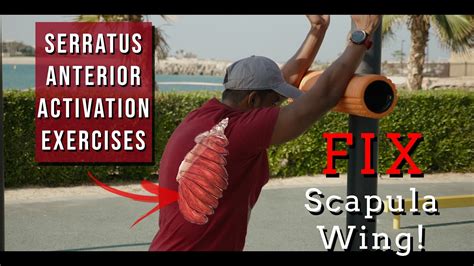 Top 3 Serratus Anterior Activation Exercises Step By Step Youtube