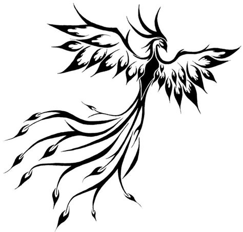 Amazon com chinese mythical phoenix bird drawing. Phoenix Bird Drawing at GetDrawings | Free download