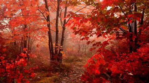 new-blog-pics: Hd Wallpapers 1360 X 768