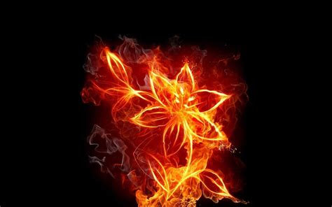 Find & download free graphic resources for flower. Fire Flower Wallpapers - Wallpaper Cave