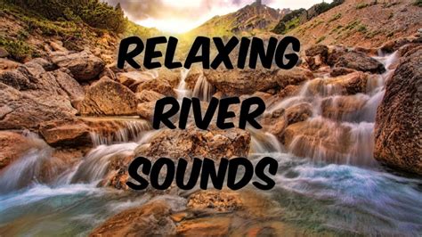 Relaxing River Sounds For Sleep Or Focuspeaceful Forest River With