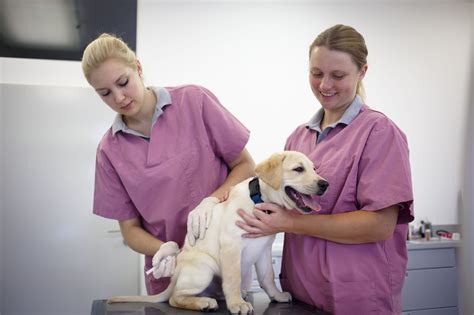 Your veterinarian determines when to start and how many boosters your pup should receive based on health status and exposure. Puppy Vaccination Side Effects