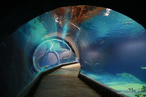 Wrocławskie Afrykarium - informacje dla turystów