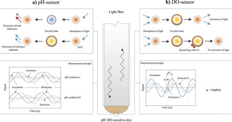 Measurement Principle Of Optical Sensors A Optical Ph Sensors Are Download Scientific Diagram