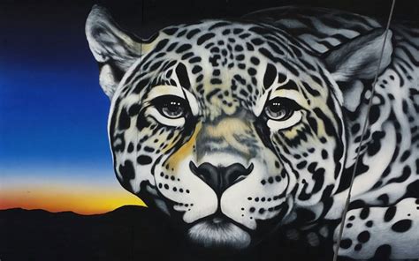 Murals From The Endangered Species Mural Project In Yuma