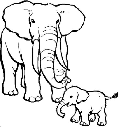 Coloring Pages Animals And Their Babies At Free