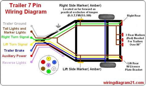 (1) 12v feed (which you can get from the user terminals under the seat) (2) reverse lights (3) apply brakes (which may go to separate brake filaments, too. 7 Pin Hitch Wiring Diagram Download | Wiring Collection