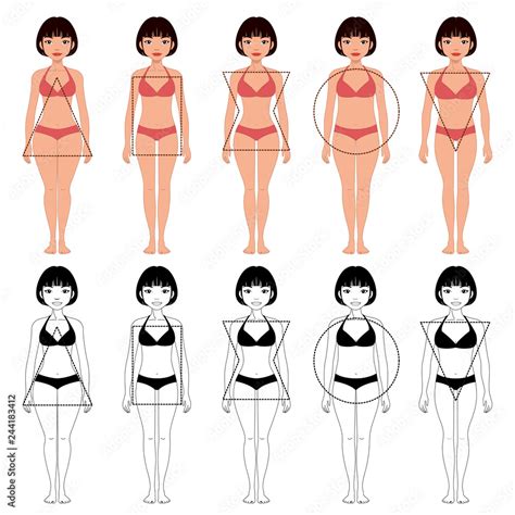 Set Of Five Different Types Of Female Body Shapes Different Types Of Beautiful Woman Stock ベクター