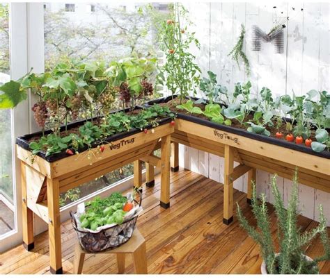 Ingin Berkebun Sayur Di Rumah Ini 8 Inspirasinya