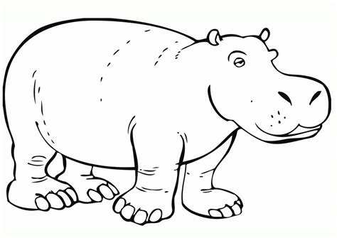 Download and print these hippo images for kids coloring pages for free. Hippopotamus Coloring Page - Coloring Home