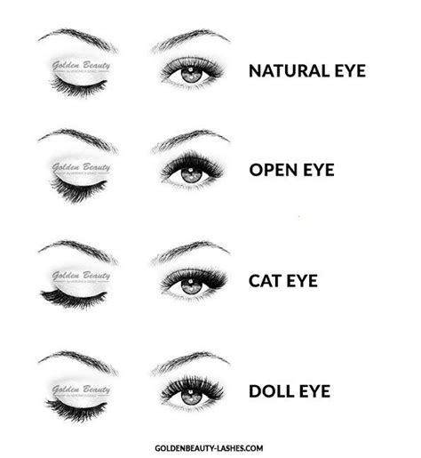 See more ideas about cat eye contacts, eye contact lenses, halloween contacts. Eye look to lash type | Eyelash extensions styles, Lashes ...