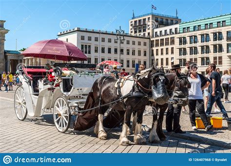 City Tour With Horses Horse Drawn Carriage In Berlin Germany