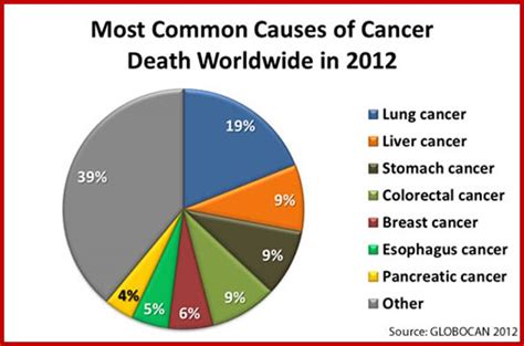 This is the most common type of skin cancer. Introduction