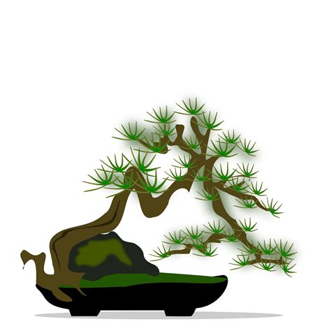 Bansai clipart, Download Bansai clipart for free 2019 Tree silhouette draw png, hand drawn tree silhouette png.