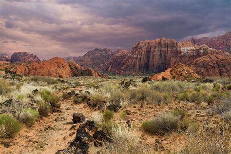 Hiking Trail In Snow Canyon Photograph By Lois Lake Fine Art America