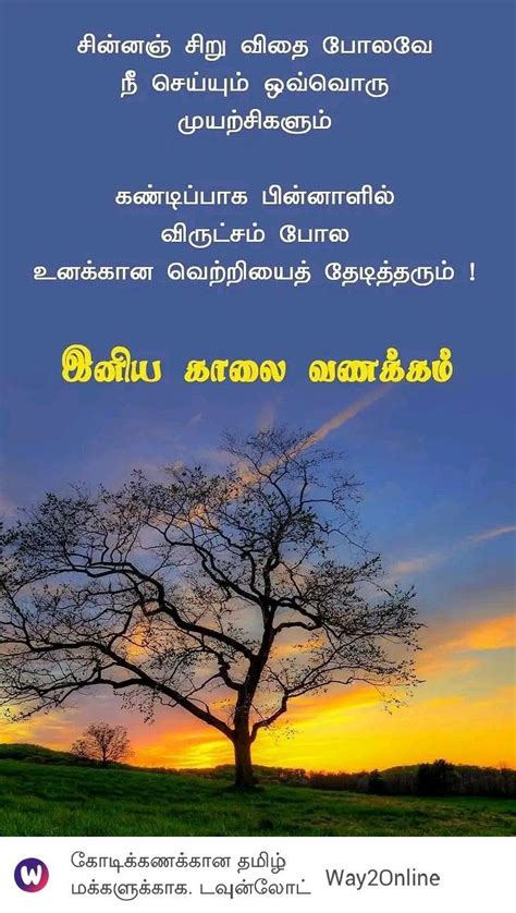 In this episode of mytamildate's 'dating while tamil' podcast, sen & shaini join host ari to discuss what it's like to date over the age of 30. Pin by Lavanya on Tamil quotes in 2020 (With images ...