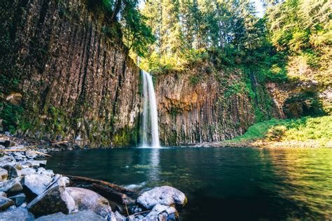 We did not find results for: What's Open: Washington and Oregon Recreation & Outdoor ...