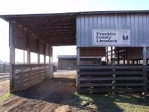 73% feeder cattle (6% steers, 49% heifers, 45% bulls); Livestock Auction Livestock Auction | Carnesville, GA