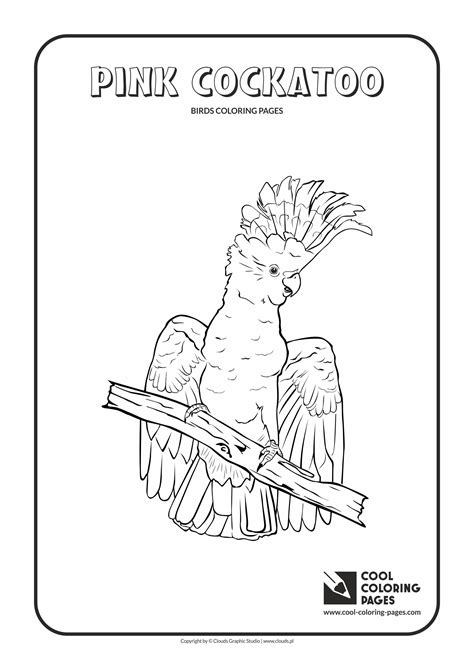 cool coloring pages birds coloring pages cool coloring pages  educational coloring pages