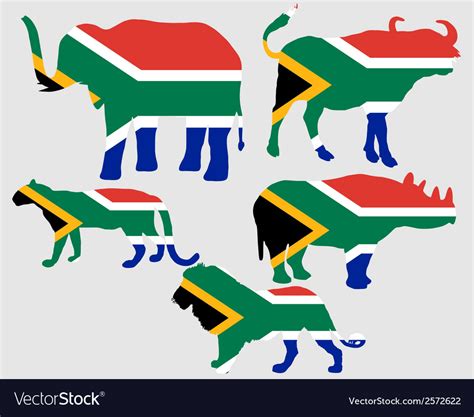 Big Five South Africa Royalty Free Vector Image