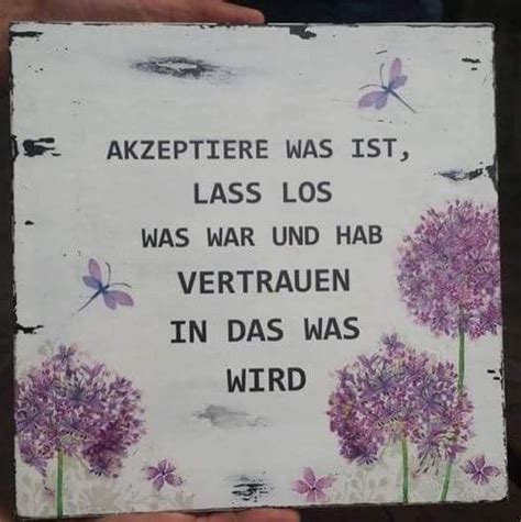 40 leben wie man selbst will leben geniessen ideen leben die schonsten lebensweisheiten besten reisezitate fur weltenbummler. Pin von Miba Ceglarski auf Sprüche | Weisheiten sprüche ...