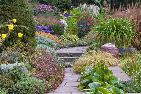 Allerdings vertragen sie kälte und frost unterschiedlich gut. Foerster Garten | Foerster-Stauden GmbH