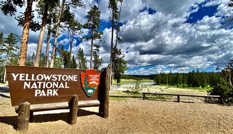 Yellowstone National Park Poll The News Beyond Detroit