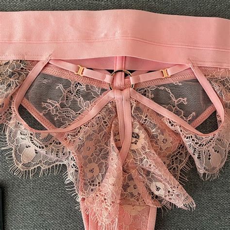 Honey Birdette Intimates And Sleepwear Belinda Candy Pink Brief Panty Lingerie Poshmark