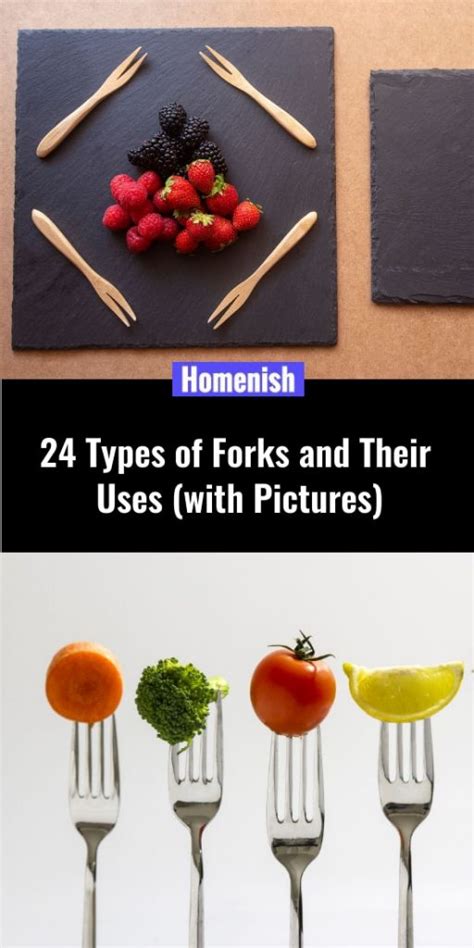 24 Types Of Forks And Their Uses With Pictures Homenish