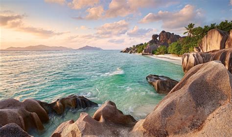 Seychelles Rock Palm Trees Beach Sunset Sea Tropical Summer