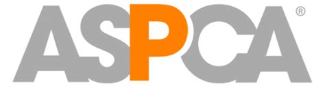A vet's review of aspca pet insurance. Pet Insurance - Beyond Compare