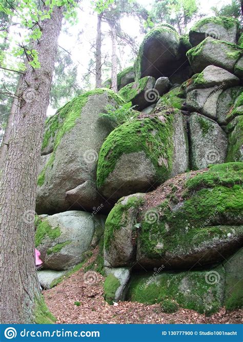 Stones Rocks In The Landscape Of The Bavarian Forest Stock Photo