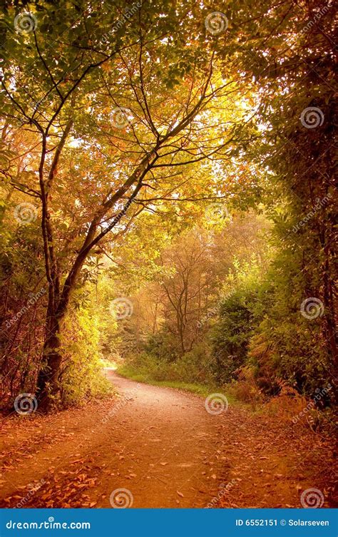 Autumn Pathway Stock Image Image Of Brown Fantasy October 6552151