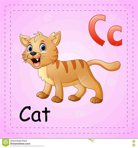 Animals Alphabet: C Is For Cat Stock Vector - Illustration ...