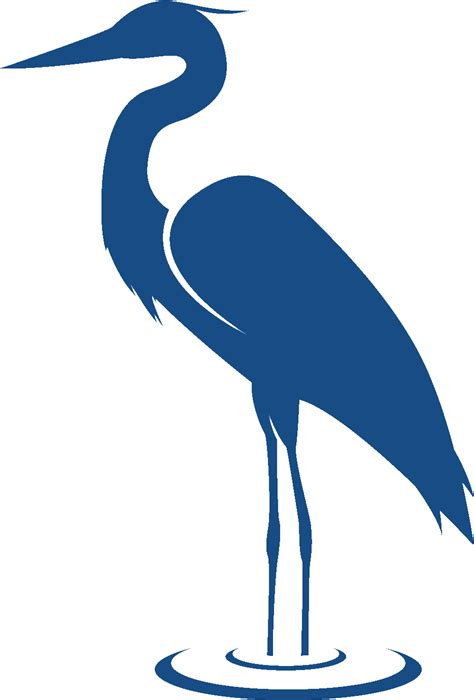 Clipart Blue Heron Png Download Full Size Clipart 5419639
