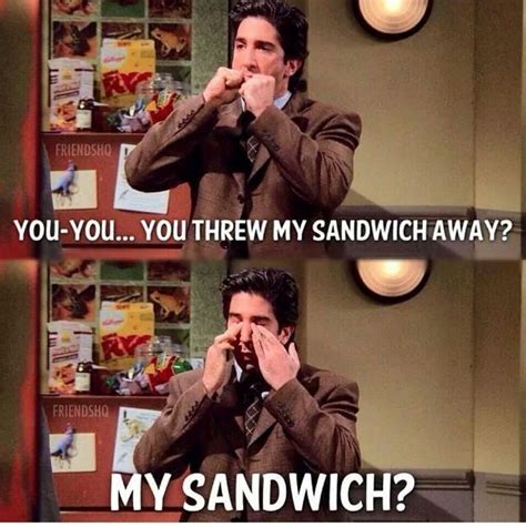 Funny Ross Friends You Ate My Sandwich Pictures Friends Tv Quotes