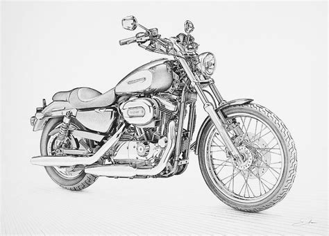 Harley Davidson 1200 Custom Drawing By Regan Peters