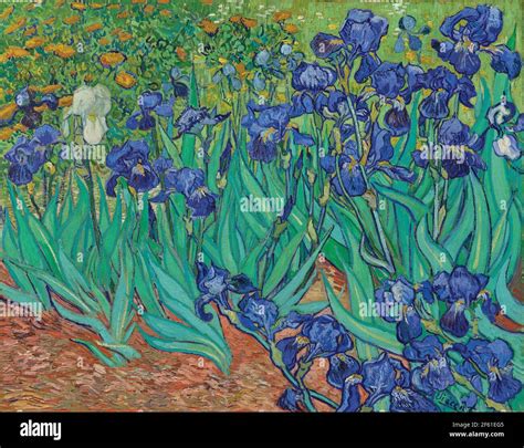 Lirios Por Vincent Van Gogh Vincent Van Gogh Artista